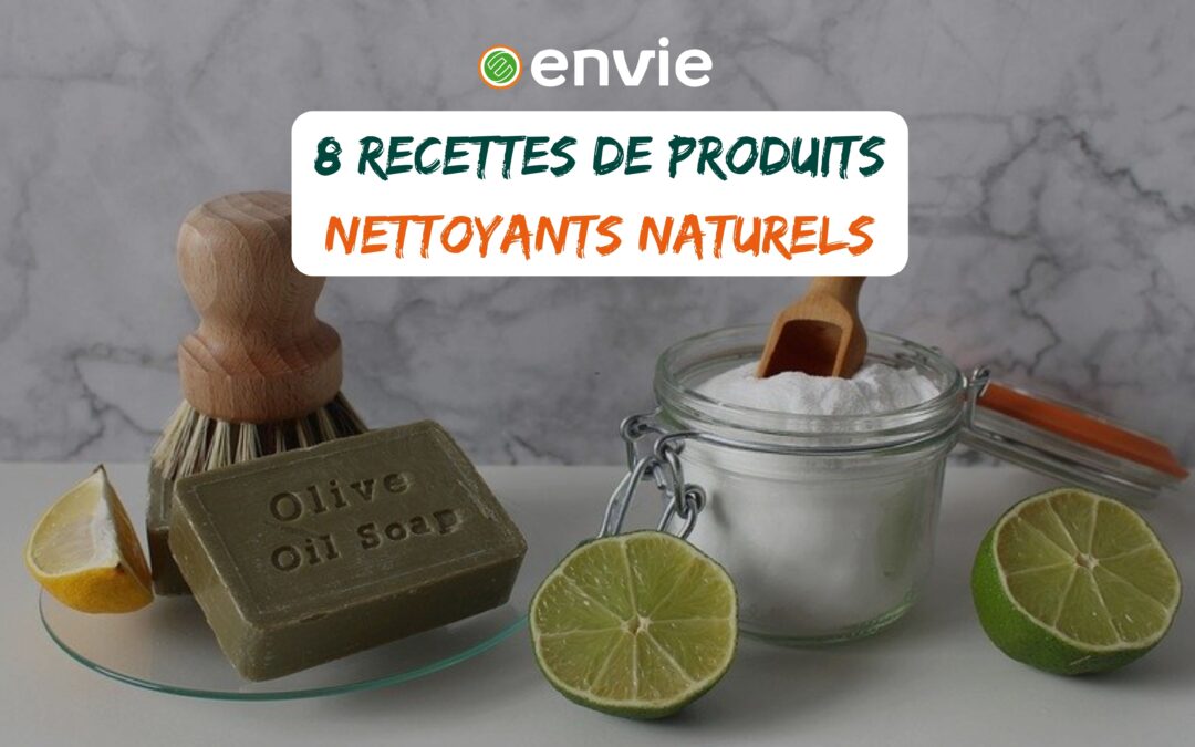 Photo illustrant des produits ménagers naturels (savon noir, citron, bicarbonate de soude...)