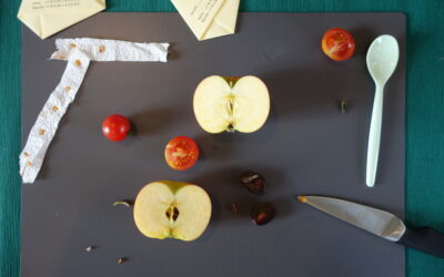 Je découvre les fruits et légumes de saison et crée mes semis