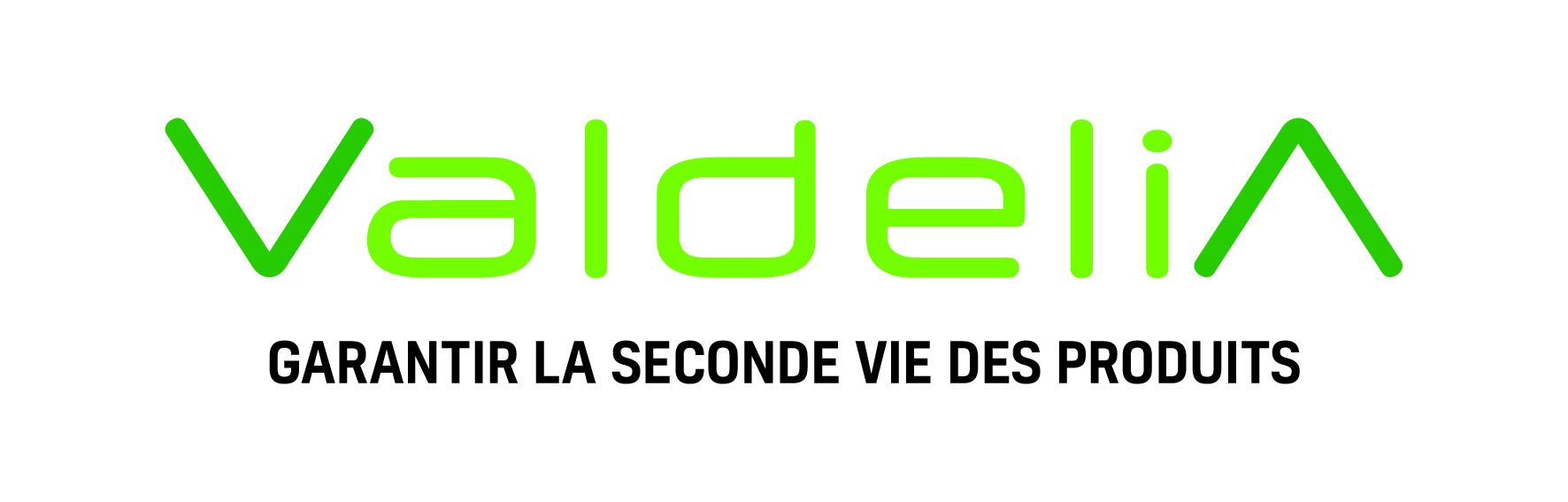 logo Valdelia