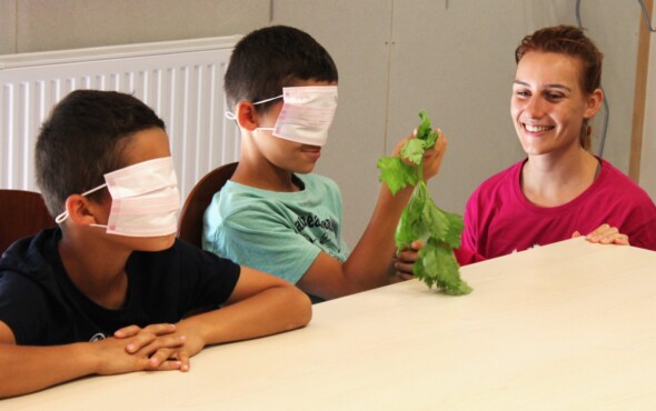 Je pars à la découverte des fruits et légumes de saison - Programmation Envie Le Labo 2022