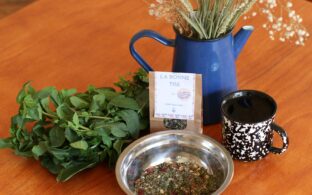 Tout savoir sur les Déchets d’Equipements Electrique et Electroniques (DEEE)