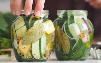 atelier cuisine lactofermentation programmation envie le labo