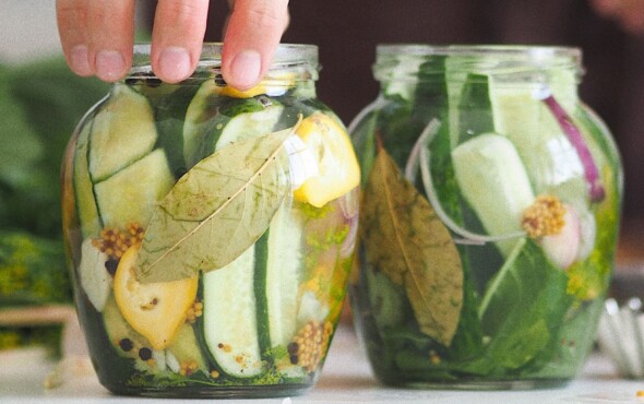 atelier cuisine lactofermentation programmation envie le labo