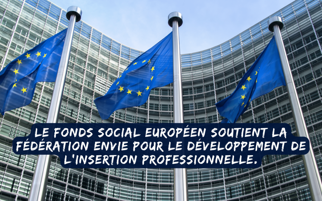 Image de drapeaux européens pour l'article sur le Fonds Social Européen.
