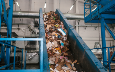 Réemploi ou recyclage : quelles différences et quels impacts pour la planète ? 