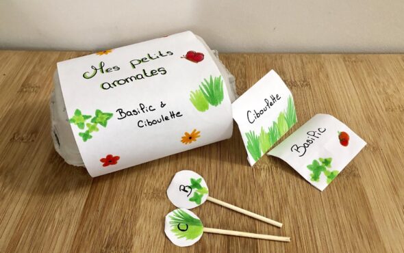Découverte aromates